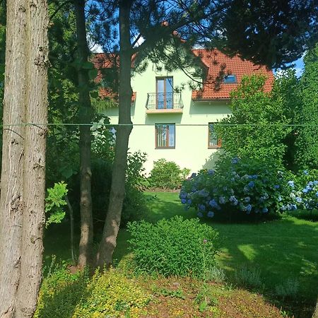 Pod Modrzewiami Apartment Milowka Exterior photo